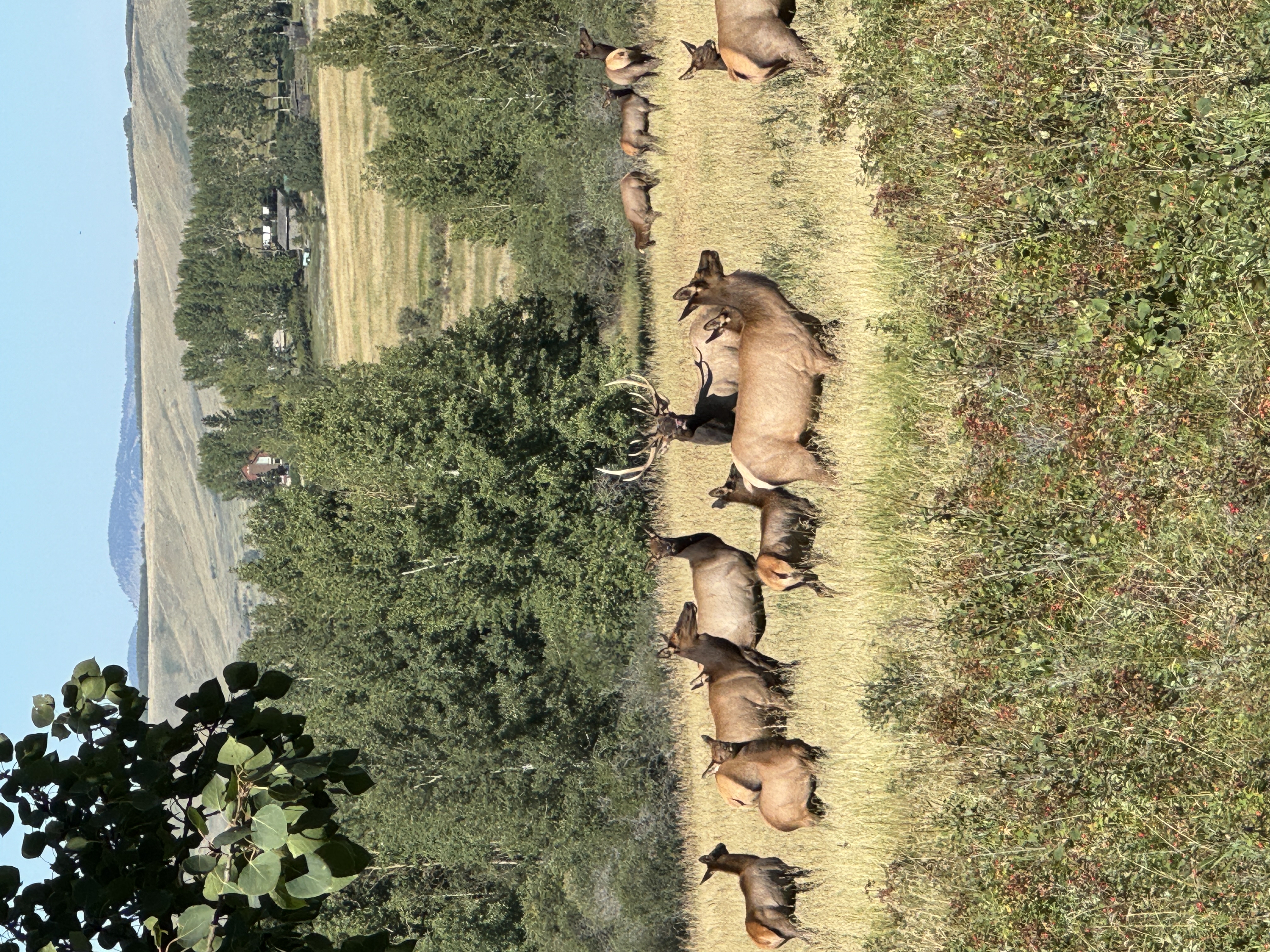 Rocky View County scenery