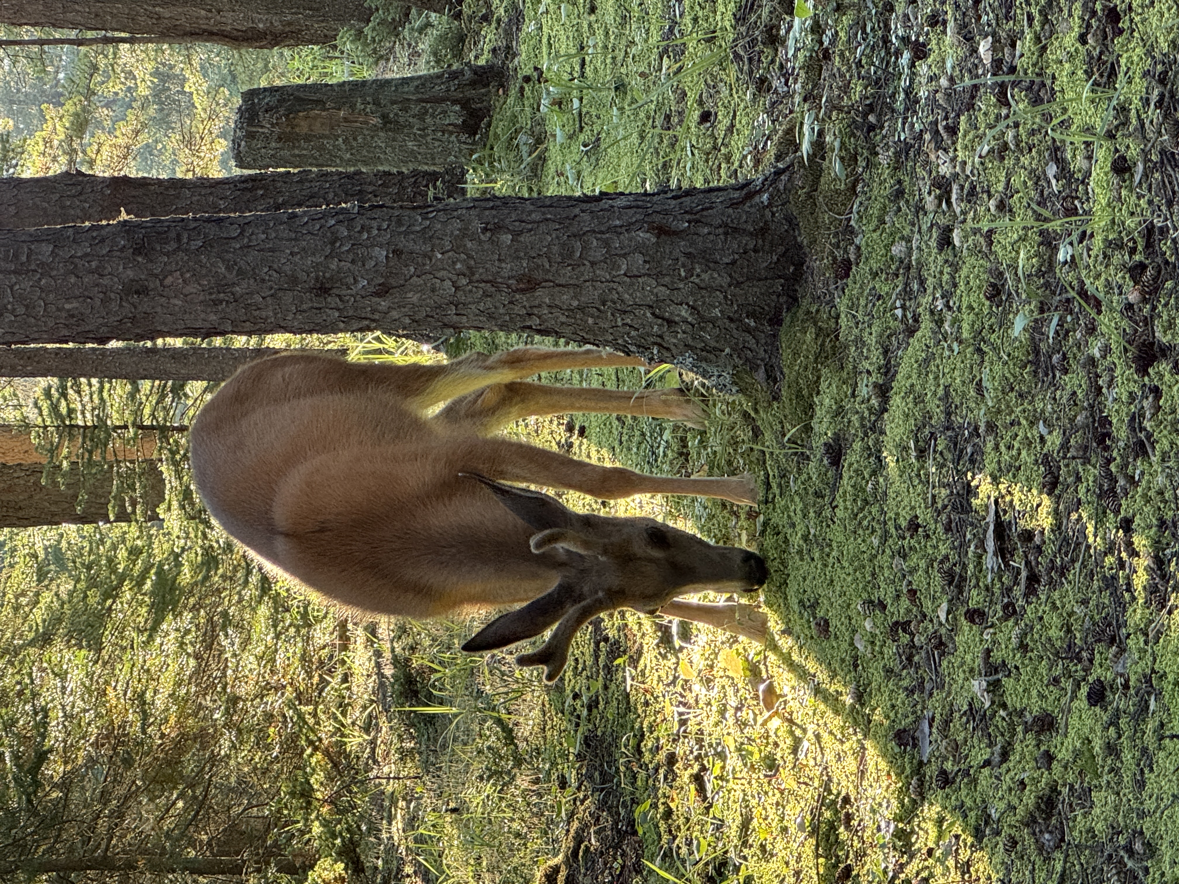 Rocky View County landscape